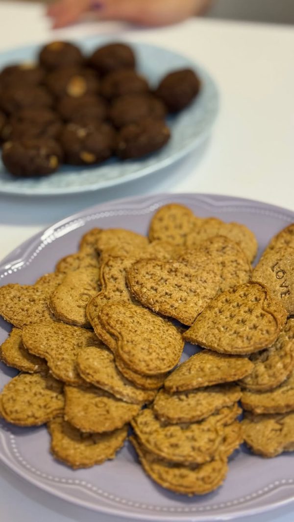 1f3a570e-8c9d-4683-8636-56566326f0b1